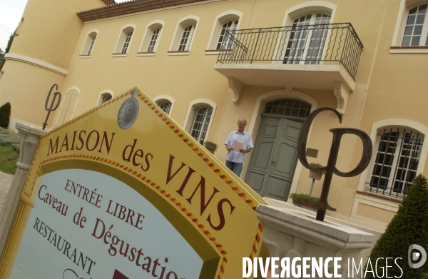 Cotes de Provence ;grappes  vendange et bonnes bouteilles.