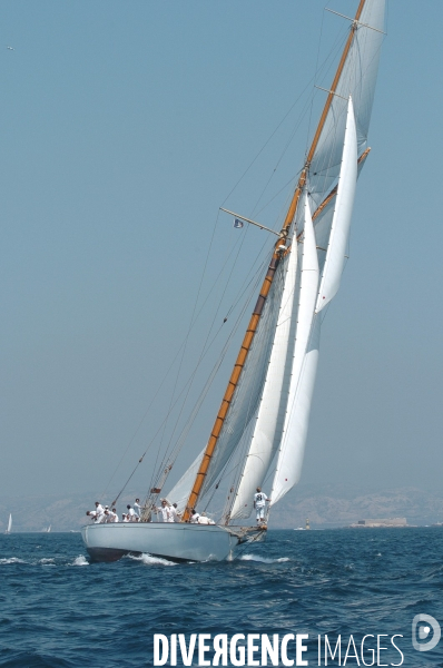 Les voiles du vieux port