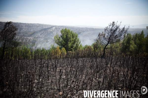 Incendie Chateauneuf les martigues et Côte Bleue