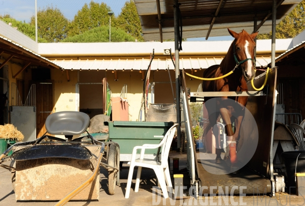 Hippodrome de la Cote d Azur