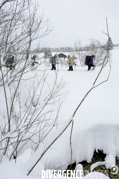Randonnee en raquettes a neige en baviere