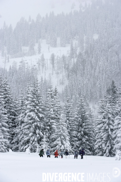 Randonnee en raquettes a neige en baviere