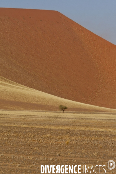 Sossusvlei:les plus grandes dunes du monde