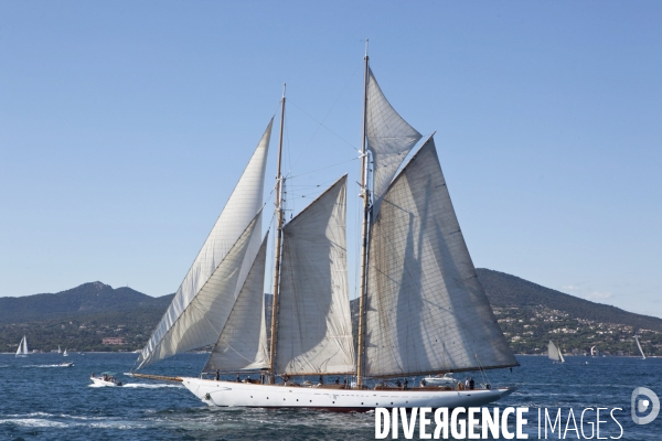 Les voiles de st tropez