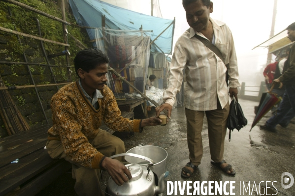 Le the en inde:bengale
