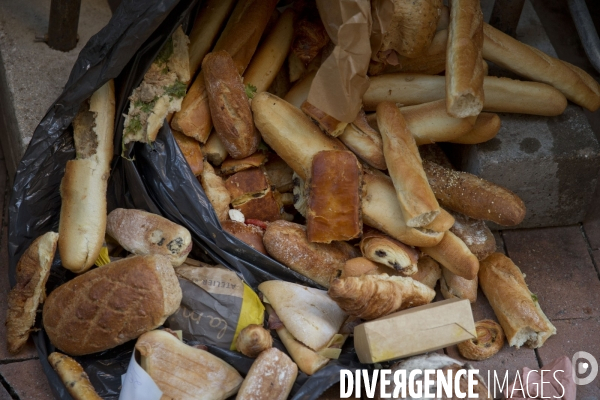 Divers Decembre 2012 Gaspillage Alimentaire
