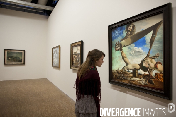 Une grande rétrospective consacrée à Salvador Dalí au Centre Pompidou de Paris se déroulera du 21 novembre 2012 au 25 mars 2013