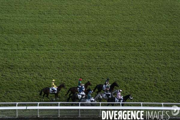 Week end international de l obstacle a l hippodrome d auteuil.