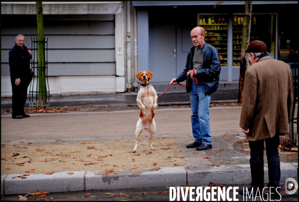 Chien et son maitre