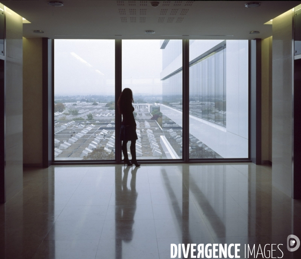 Rungis, zone de bureaux de la Silic, entreprise Ricoh