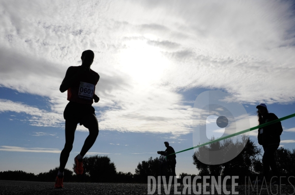 Premier Marathon International des Oliviers en Tunisie