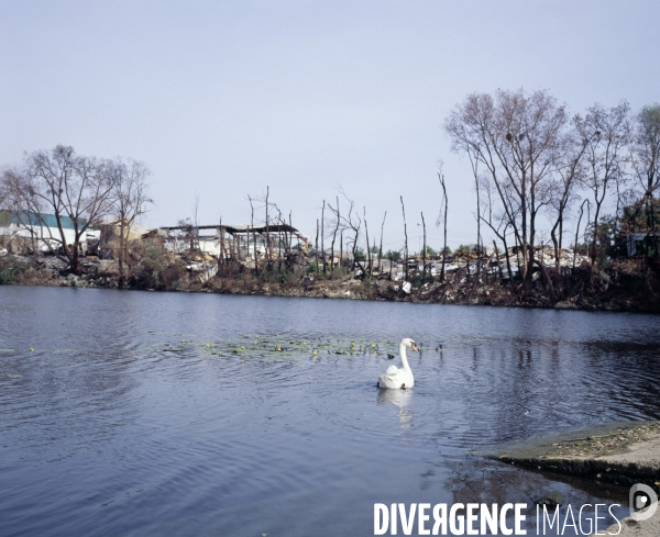 Villeneuve-le-Roi, darse en bord de Seine