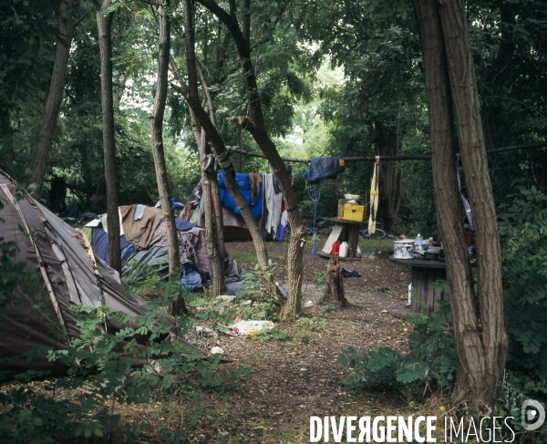 Orly, voie de Bouvray, camp de Sdf aménagé dans le bois.