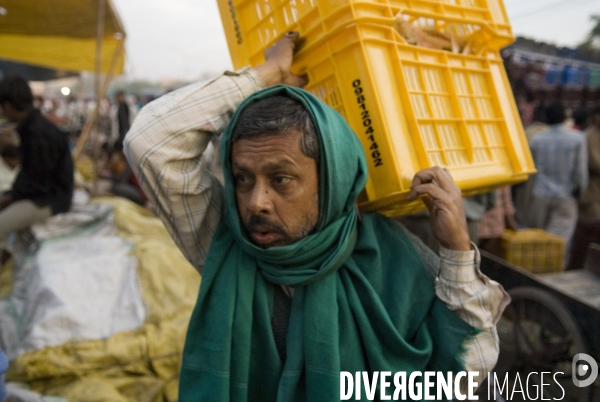 Delhi, les Halles de Sabji Mandi. Dans un tumulte vital, existent ensemble maîtres et serviteurs, paysans, porteurs, commerçants et négociants, et s échangent les marchandises (legumes et fruits) qui nourriront la Ville dans la journée