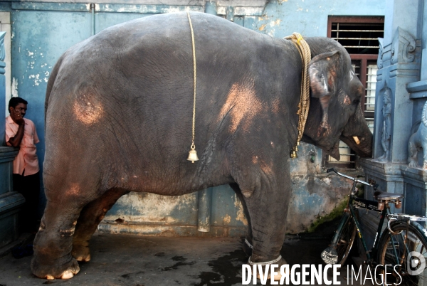 Tamil Nadu. Dans la torpeur de Pondichéry