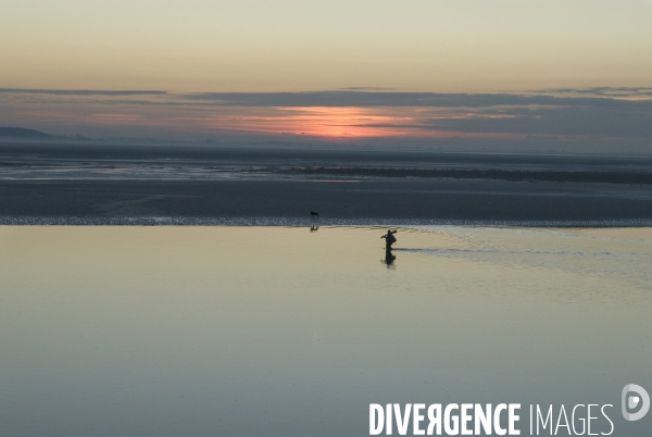 Promenades en Baie de Somme