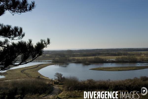 Promenades en Baie de Somme