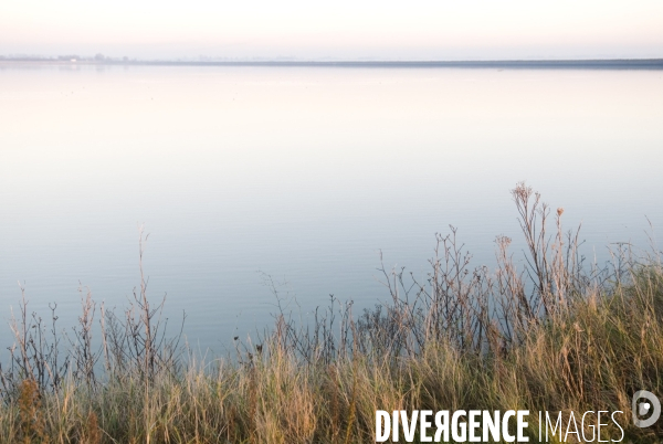 Promenades en Baie de Somme