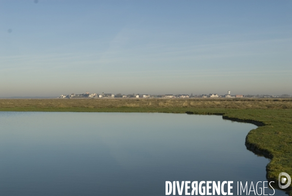 Promenades en Baie de Somme