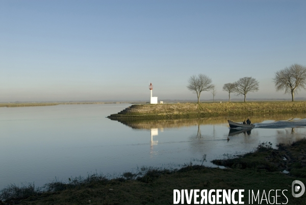Promenades en Baie de Somme