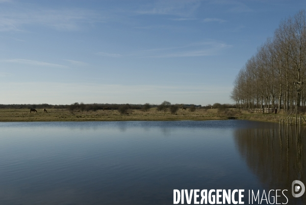 Promenades en Baie de Somme