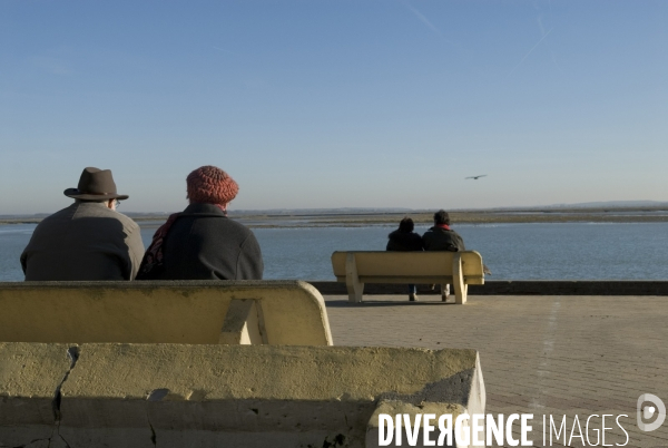 Promenades en Baie de Somme