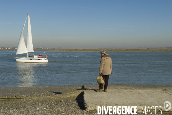 Promenades en Baie de Somme