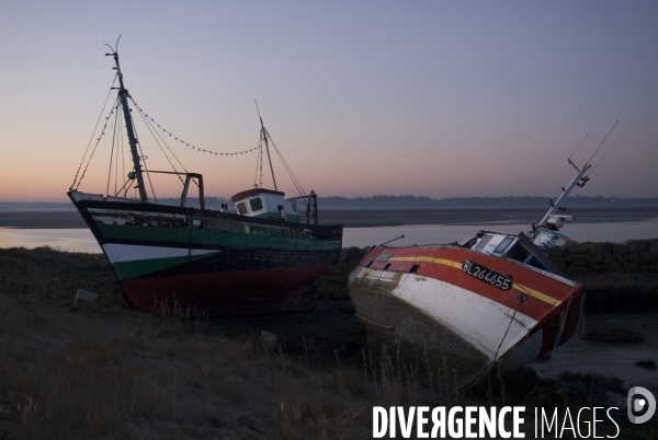 Promenades en Baie de Somme