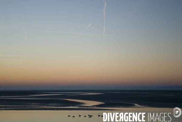 Promenades en Baie de Somme