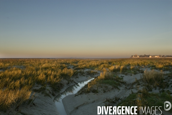 Promenades en Baie de Somme