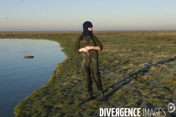Promenades en Baie de Somme