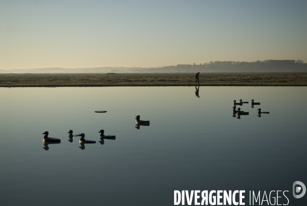 Promenades en Baie de Somme