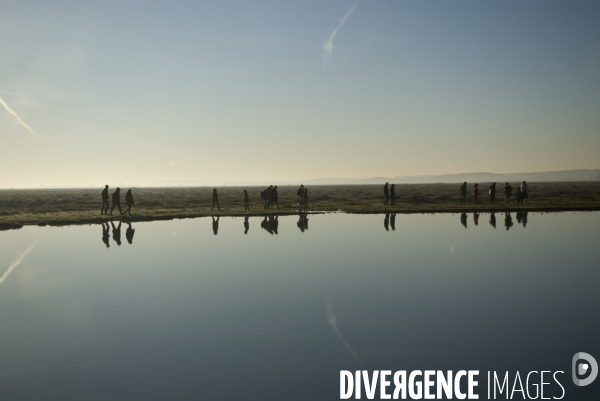 Promenades en Baie de Somme