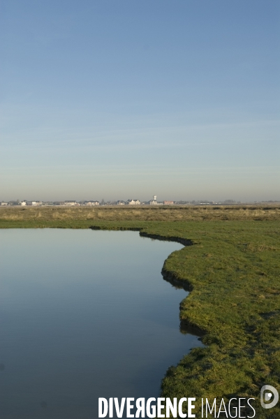 Promenades en Baie de Somme