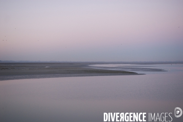 Promenades en Baie de Somme