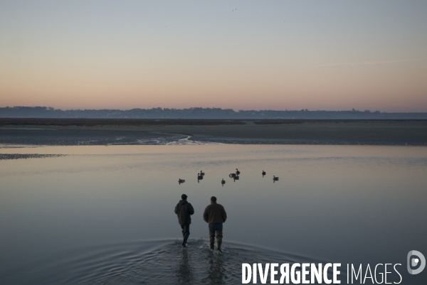 Promenades en Baie de Somme