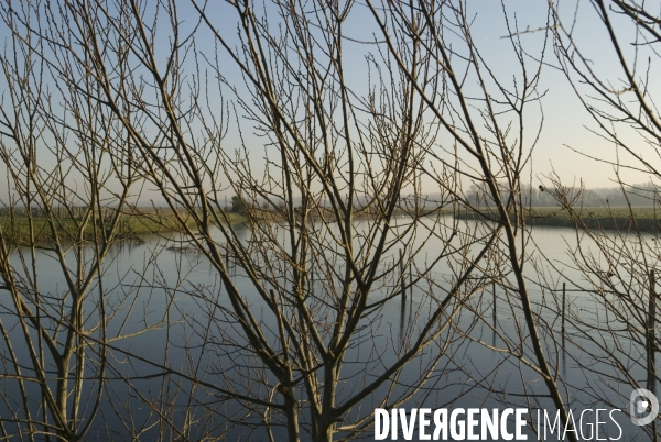 Promenades en Baie de Somme