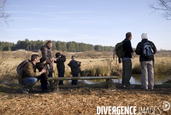 Promenades en Baie de Somme