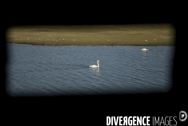 Promenades en Baie de Somme