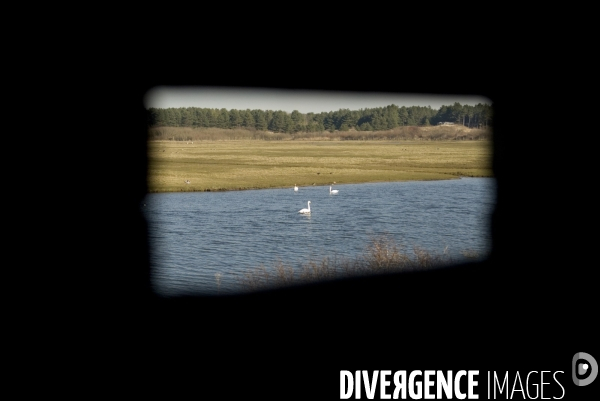 Promenades en Baie de Somme