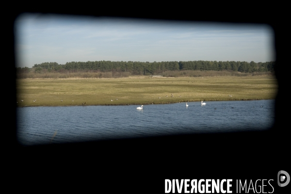 Promenades en Baie de Somme