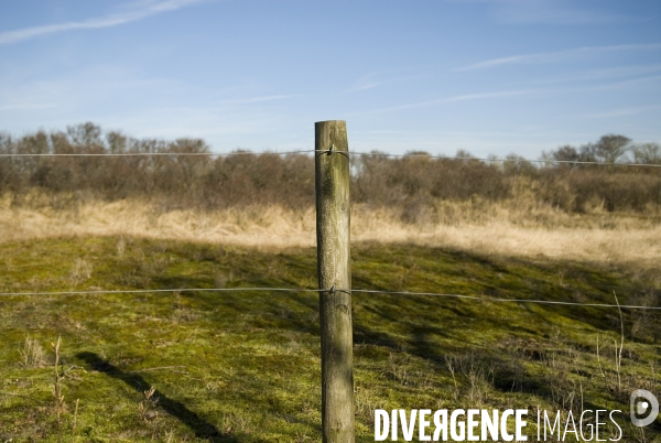 Promenades en Baie de Somme