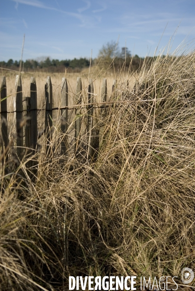 Promenades en Baie de Somme