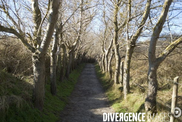 Promenades en Baie de Somme