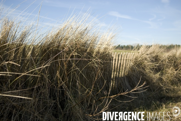 Promenades en Baie de Somme