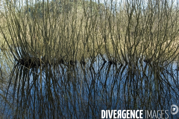 Promenades en Baie de Somme