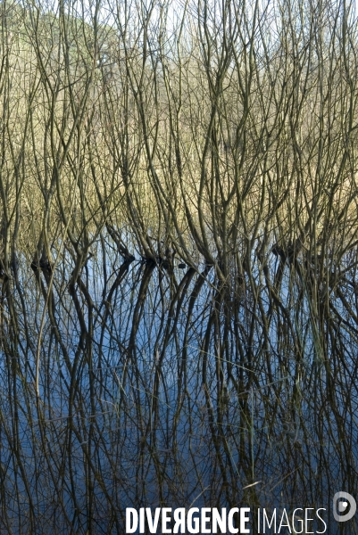 Promenades en Baie de Somme