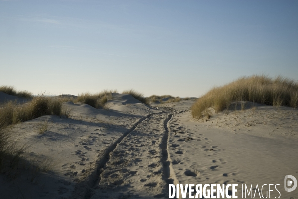 Promenades en Baie de Somme