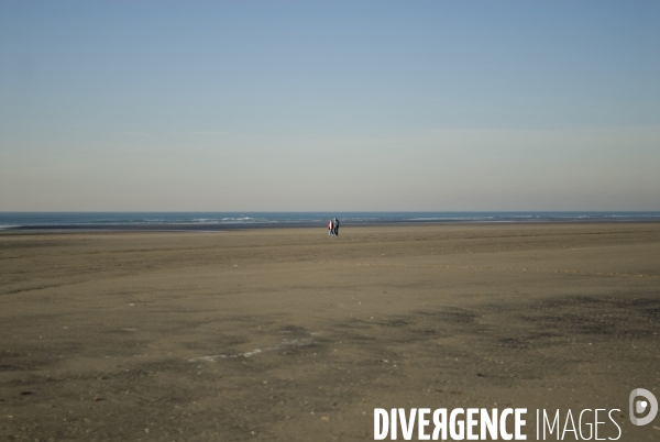 Promenades en Baie de Somme