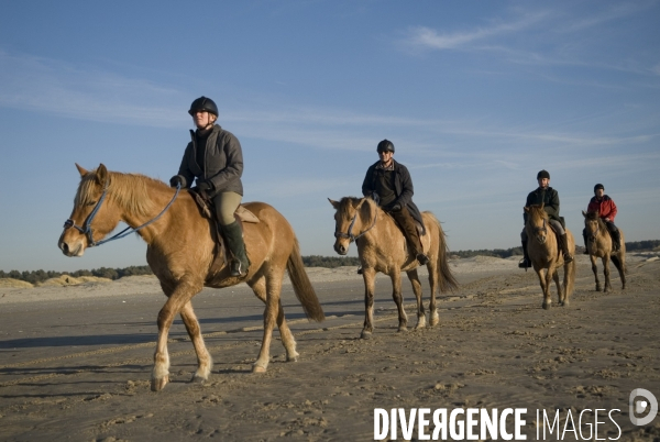 Promenades en Baie de Somme